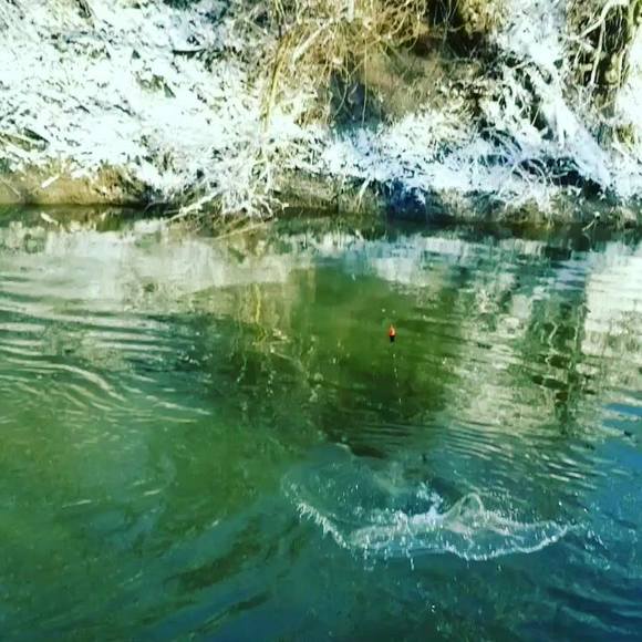 Meet your Posher, Jason - Picture 1 of 1